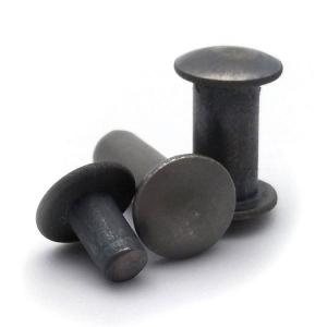 Titanium screws Vs Stainless steel Screws Titanium screws Vs Stainless steel Screws