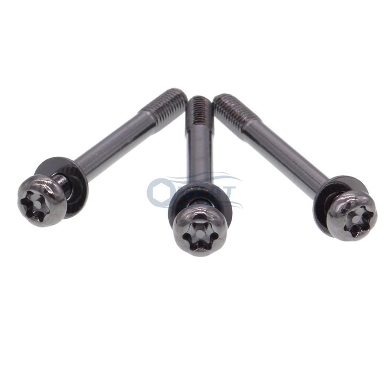 torx pin security screws,18-8 stainless steel sems screw