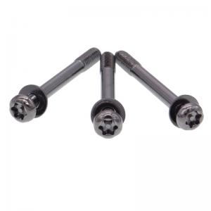 Black oxide torx truss head tamper proof sems screw Black oxide torx truss head tamper proof sems screw