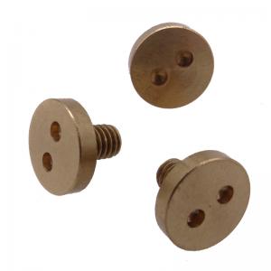 Brass M4 2 hole Pig nose Flat Head anti-theft Screw Brass M4 2 hole Pig nose Flat Head anti-theft Screw