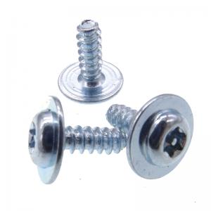 Flanged Steel 6 Lobe Pin Torx Security Screws