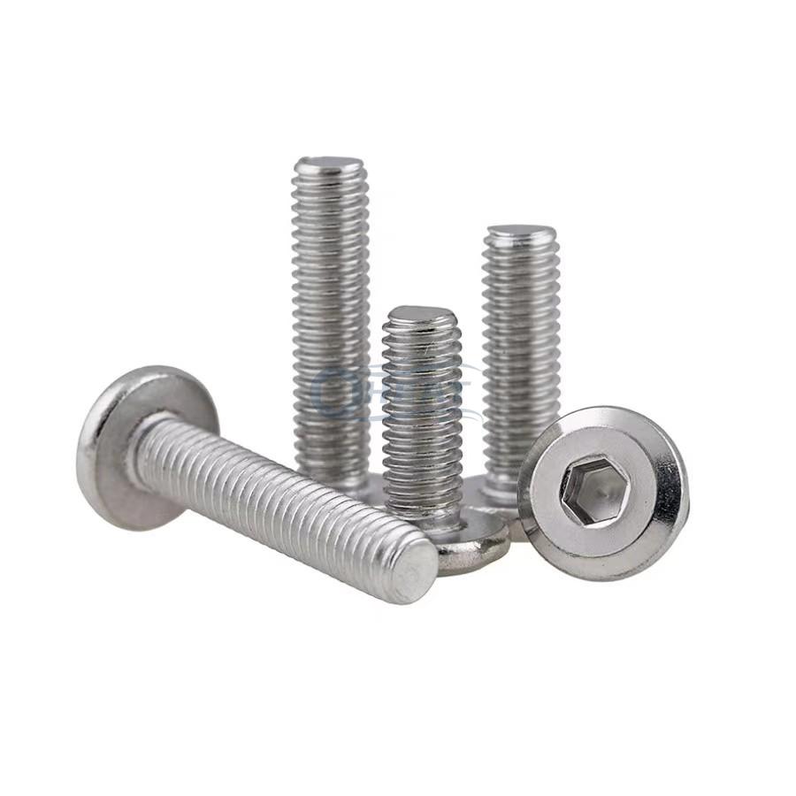 Stainless steel Joint Connector bolts Furniture screws