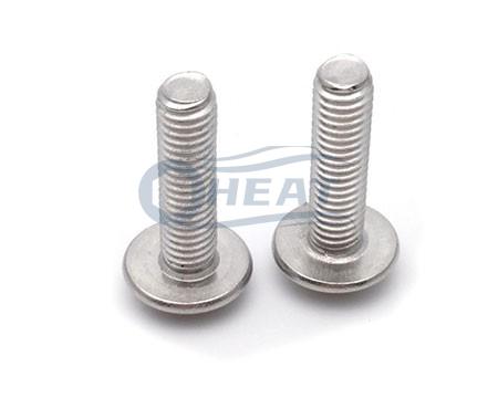 Phillips Truss Large screw,Stainless steel electronics screw