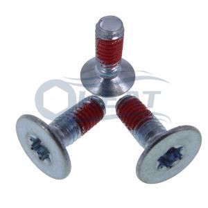 Torx Head Nylon patch screws,self locking screws