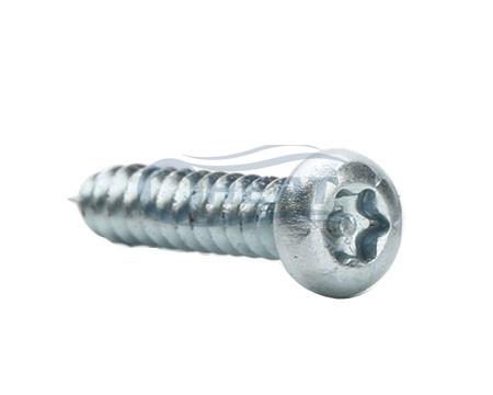 Torx pin self tapping screws manufacturer