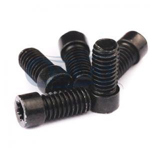 Torx socket micro screw manufacturer Torx socket micro screw manufacturer