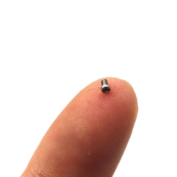 custom stainless steel tiny screw supplier