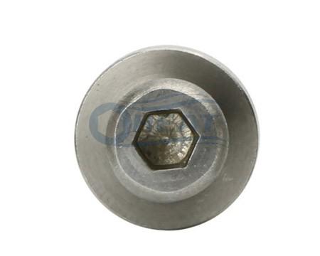 Hex socket screw,stainless steel sems screw supplier