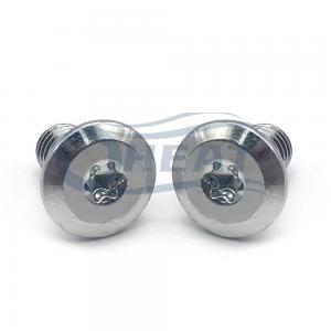 metric button head anti-theft screw supplier