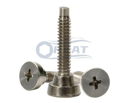 Stainless steel Self Aligning Spring hinge screws