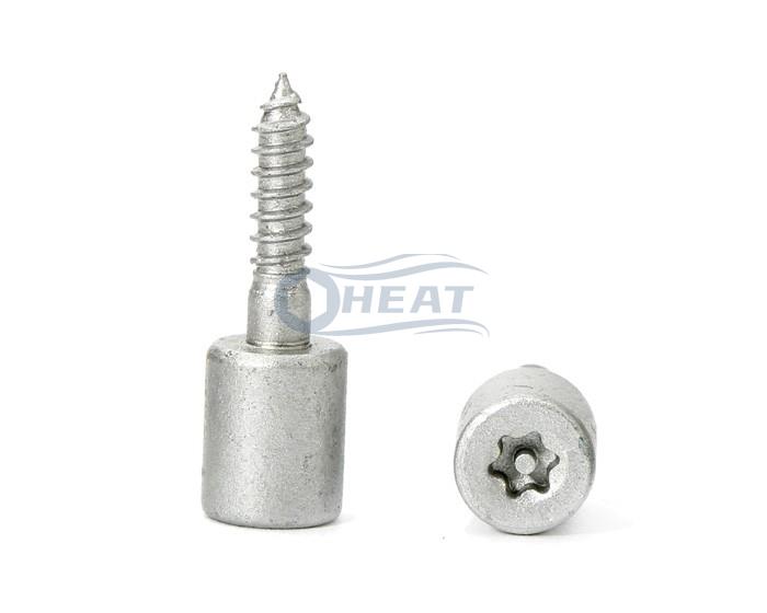 Torx pin self tapping screw,stainless steel security screw
