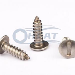 Slotted Truss Head Screws,Custom Made Self Tapping Screws Slotted Truss Head Screws,Custom Made Self Tapping Screws