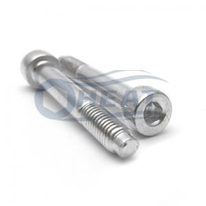 Hex Socket Head Machine Screw with dog point