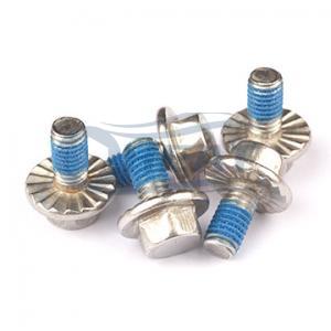 Teflon Paste Screws,Serrated Flange Head Screw Teflon Paste Screws,Serrated Flange Head Screw