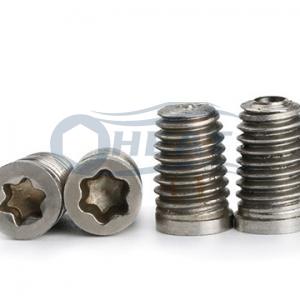 Stainless steel Torx Head Metering Scew Electronic Screws manufacturer China Stainless steel Torx Head Metering Scew Electronic Screws manufacturer China