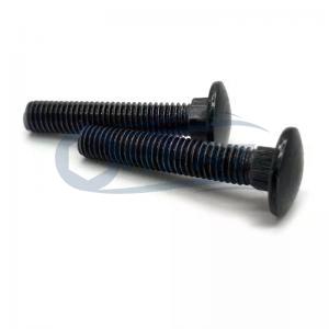 black M6 stainless steel carriage bolt factory black M6 stainless steel carriage bolt factory