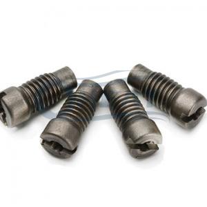 slotted head titanium screw supplier,speciality screw manufacturer slotted head titanium screw supplier,speciality screw manufacturer